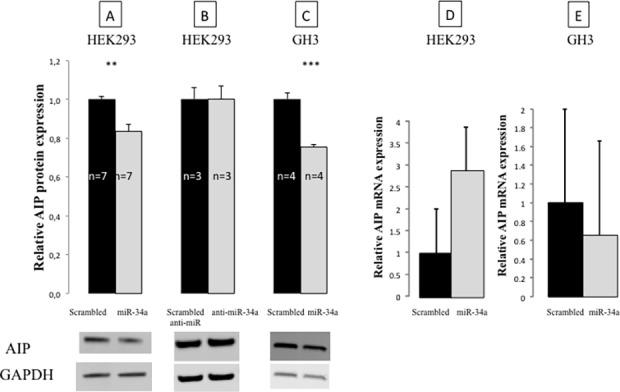 https://cdn.ncbi.nlm.nih.gov/pmc/blobs/25b8/4319742/f5cd66338abb/pone.0117107.g006.jpg