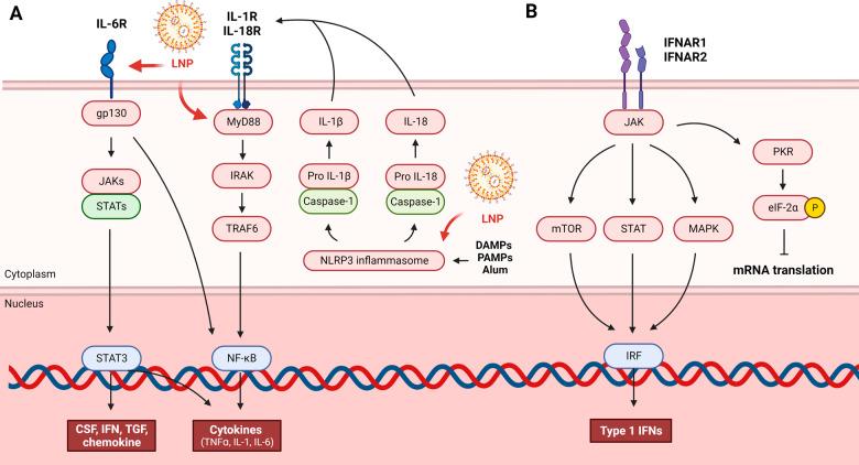 https://cdn.ncbi.nlm.nih.gov/pmc/blobs/25b9/10618257/a72175fd2faf/12276_2023_1086_Fig2_HTML.jpg
