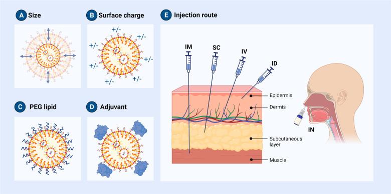 https://cdn.ncbi.nlm.nih.gov/pmc/blobs/25b9/10618257/b9a8f23d7d40/12276_2023_1086_Fig4_HTML.jpg