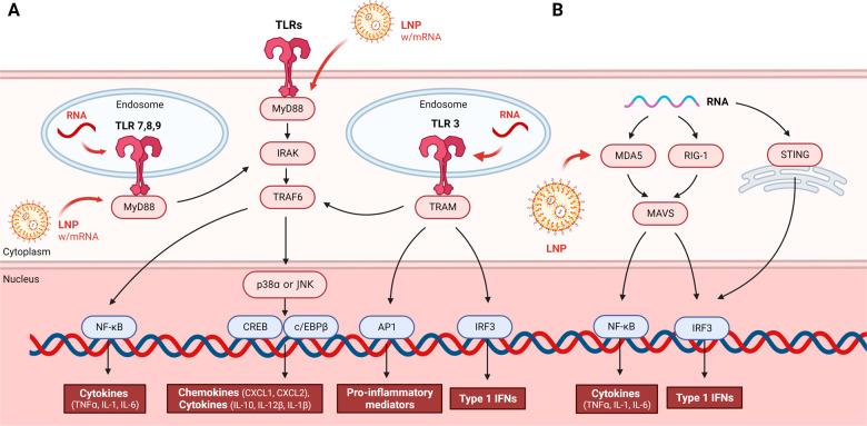 https://cdn.ncbi.nlm.nih.gov/pmc/blobs/25b9/10618257/c127ebfa3722/12276_2023_1086_Fig1_HTML.jpg