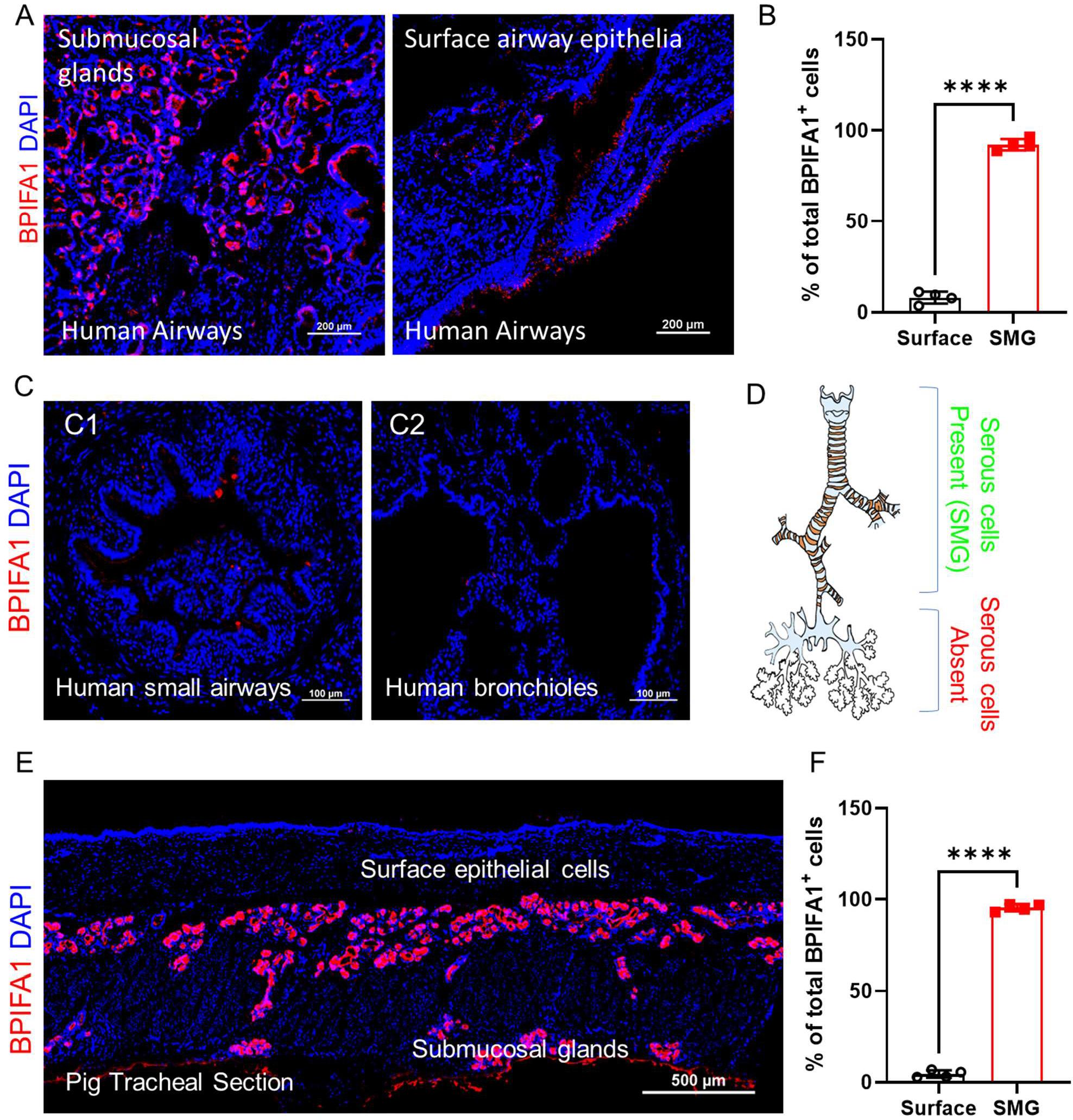 https://cdn.ncbi.nlm.nih.gov/pmc/blobs/25bb/11361305/8d34dc2b3fae/nihms-2015844-f0001.jpg