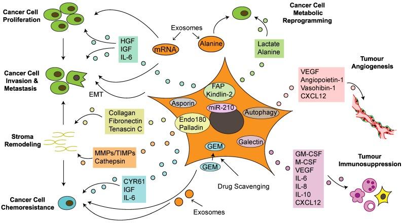 https://cdn.ncbi.nlm.nih.gov/pmc/blobs/25bb/6217060/cb9f239003d3/thnov08p5072g003.jpg