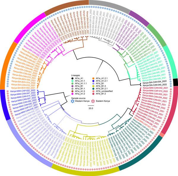 https://cdn.ncbi.nlm.nih.gov/pmc/blobs/25bd/11286075/dbf6c59de4d6/23-0876-F2.jpg