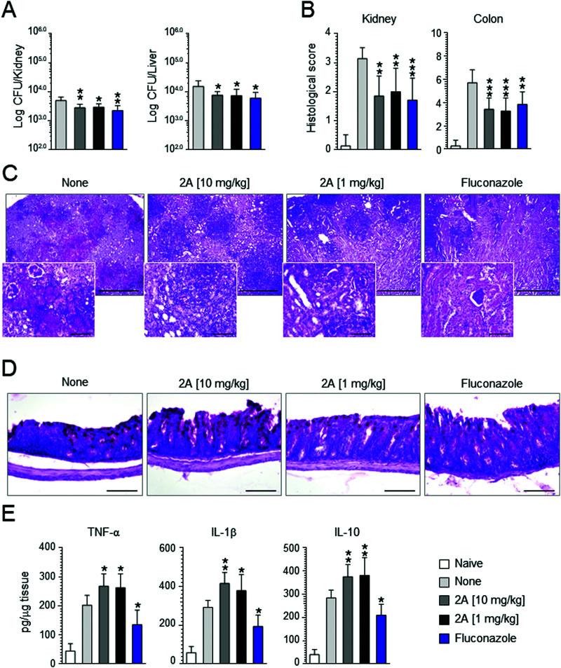 https://cdn.ncbi.nlm.nih.gov/pmc/blobs/25bd/8341145/1fd98a0e2a00/d1cb00123j-f7.jpg