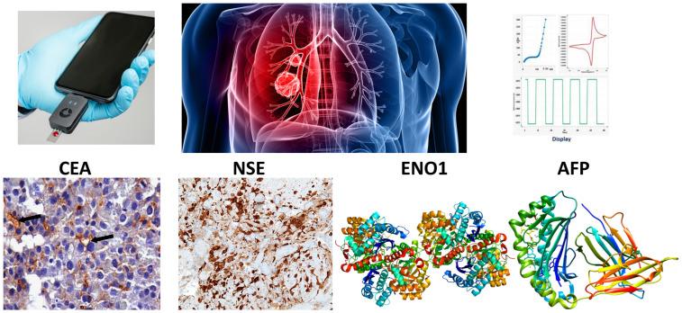 https://cdn.ncbi.nlm.nih.gov/pmc/blobs/25c2/11243195/040d99d72321/molecules-29-03156-g001.jpg