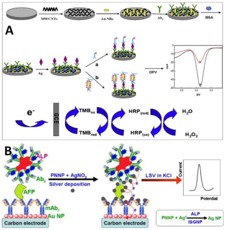 https://cdn.ncbi.nlm.nih.gov/pmc/blobs/25c2/11243195/15559881adb6/molecules-29-03156-g004.jpg