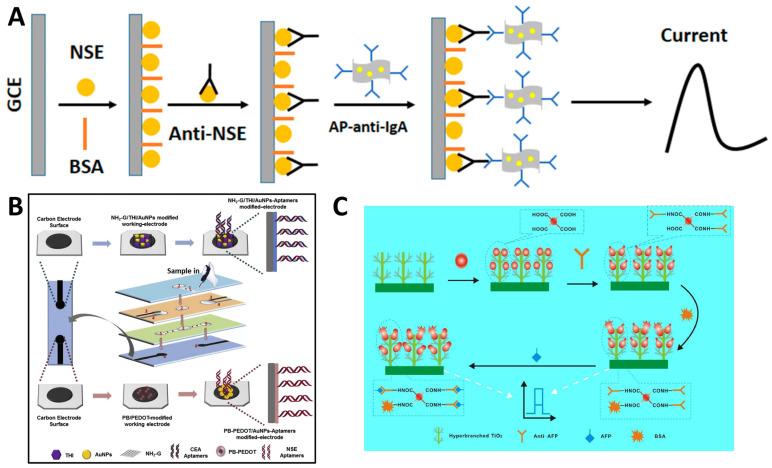 https://cdn.ncbi.nlm.nih.gov/pmc/blobs/25c2/11243195/4c2fc834af9e/molecules-29-03156-g003.jpg