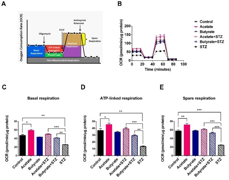 https://cdn.ncbi.nlm.nih.gov/pmc/blobs/25c2/7073211/06d98bcf12ad/ijms-21-01542-g004.jpg