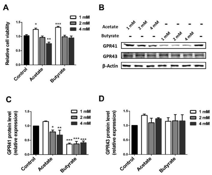 https://cdn.ncbi.nlm.nih.gov/pmc/blobs/25c2/7073211/736a83c8c0bb/ijms-21-01542-g002.jpg