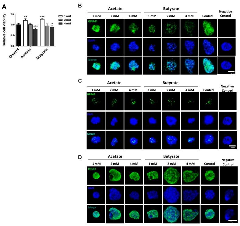 https://cdn.ncbi.nlm.nih.gov/pmc/blobs/25c2/7073211/ea2402c8a076/ijms-21-01542-g001.jpg