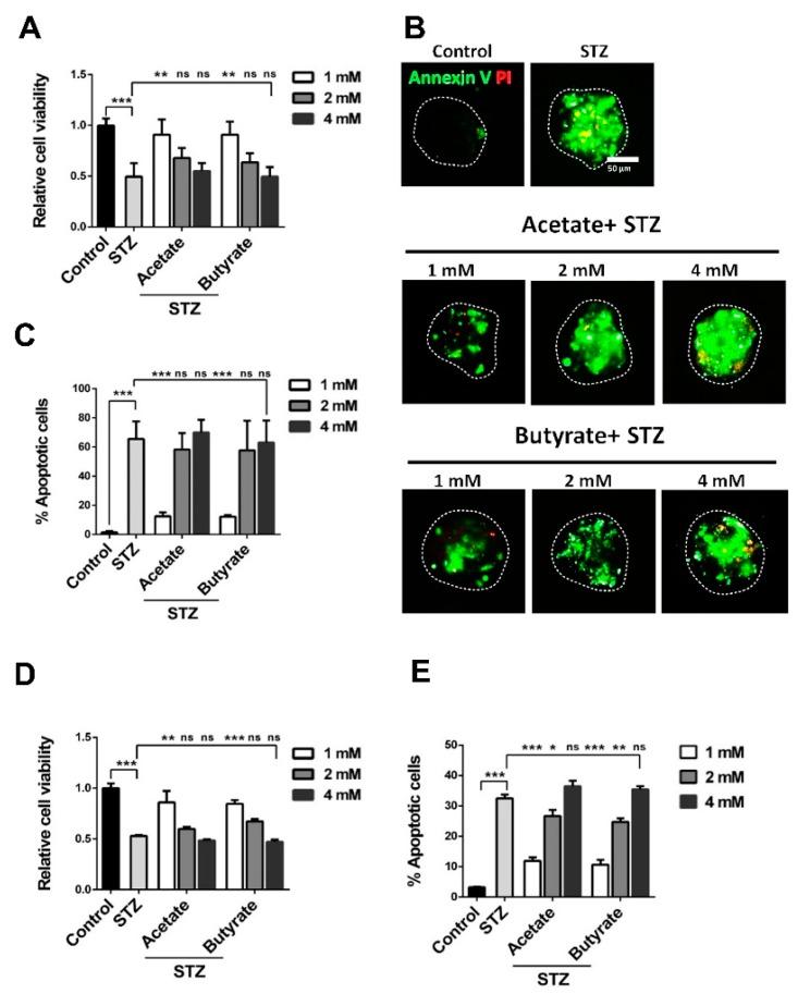 https://cdn.ncbi.nlm.nih.gov/pmc/blobs/25c2/7073211/f5584b3f6476/ijms-21-01542-g003.jpg