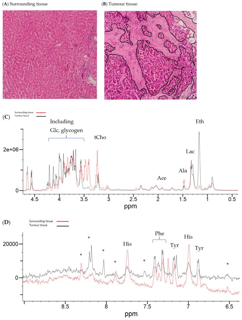 https://cdn.ncbi.nlm.nih.gov/pmc/blobs/25c4/11354908/17e425c95a10/ijms-25-08924-g004.jpg