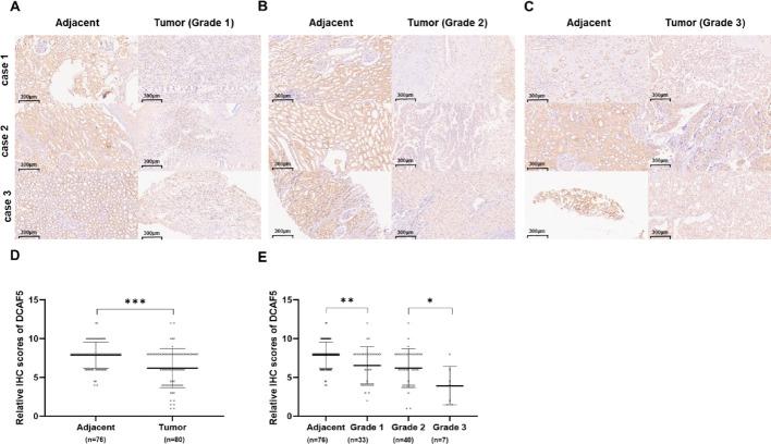 https://cdn.ncbi.nlm.nih.gov/pmc/blobs/25c4/12170971/05e06056dffc/12672_2025_2974_Fig1_HTML.jpg
