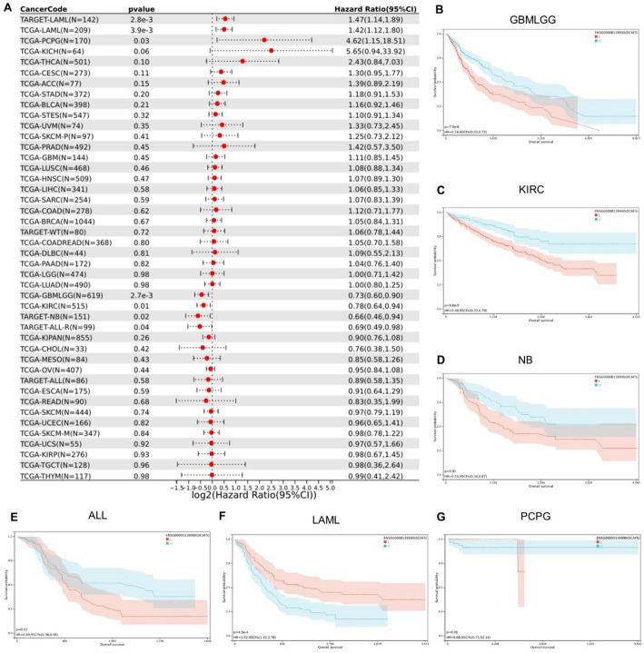 https://cdn.ncbi.nlm.nih.gov/pmc/blobs/25c4/12170971/52faa4ee563f/12672_2025_2974_Fig4_HTML.jpg