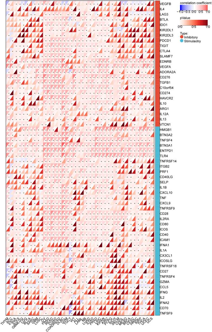 https://cdn.ncbi.nlm.nih.gov/pmc/blobs/25c4/12170971/53c8289d0539/12672_2025_2974_Fig8_HTML.jpg