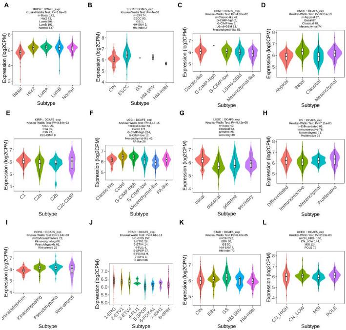 https://cdn.ncbi.nlm.nih.gov/pmc/blobs/25c4/12170971/ae1d454be841/12672_2025_2974_Fig6_HTML.jpg
