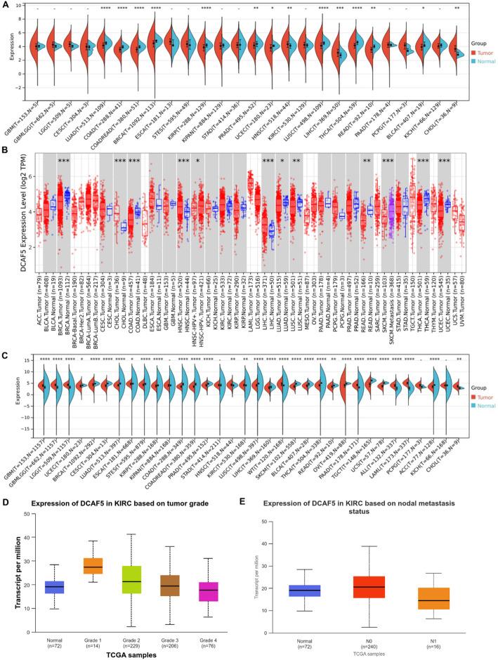 https://cdn.ncbi.nlm.nih.gov/pmc/blobs/25c4/12170971/b0b1cca0ddd4/12672_2025_2974_Fig3_HTML.jpg