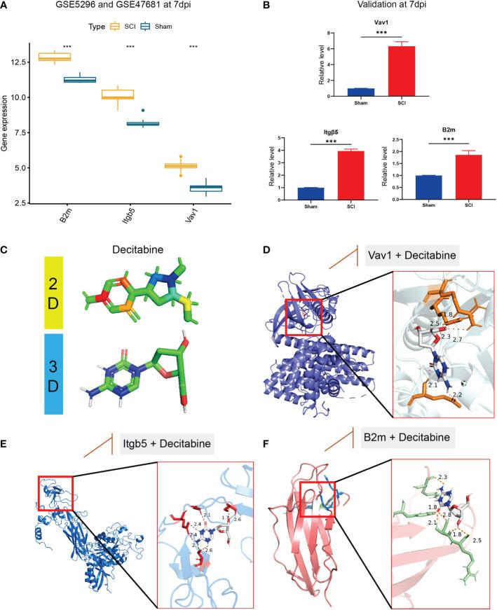 https://cdn.ncbi.nlm.nih.gov/pmc/blobs/25c4/9894719/75ca8a84ca9c/fimmu-14-1068359-g008.jpg