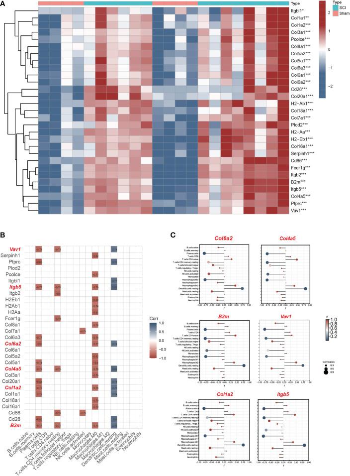 https://cdn.ncbi.nlm.nih.gov/pmc/blobs/25c4/9894719/9ed4c1c66226/fimmu-14-1068359-g006.jpg