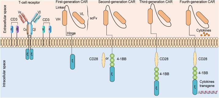 https://cdn.ncbi.nlm.nih.gov/pmc/blobs/25c6/9978522/b454d82f828d/fonc-13-1015115-g004.jpg