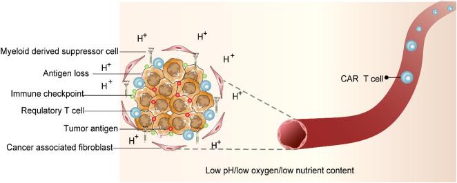 https://cdn.ncbi.nlm.nih.gov/pmc/blobs/25c6/9978522/ec3afe4f8d11/fonc-13-1015115-g002.jpg