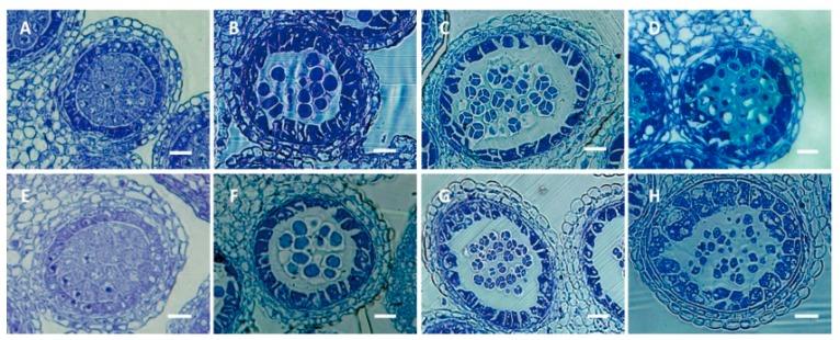 https://cdn.ncbi.nlm.nih.gov/pmc/blobs/25c7/4730287/d4919cb168ac/ijms-17-00042-g002.jpg