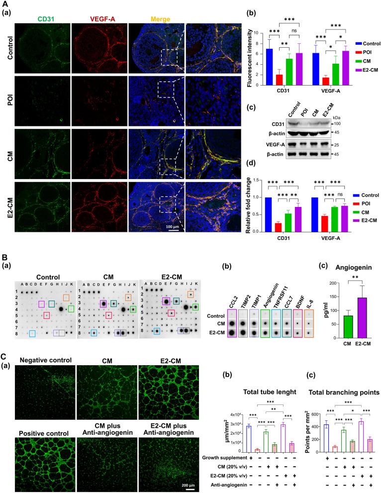 https://cdn.ncbi.nlm.nih.gov/pmc/blobs/25c8/11468397/4bb1777ee605/12929_2024_1085_Fig6_HTML.jpg