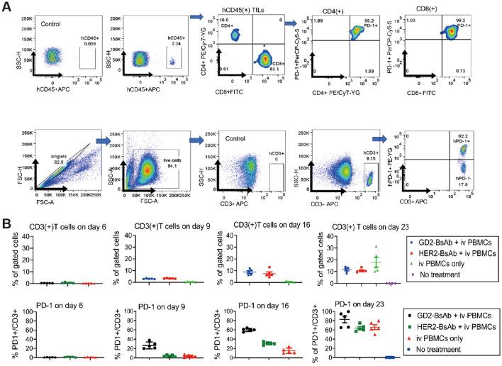 https://cdn.ncbi.nlm.nih.gov/pmc/blobs/25cb/11799554/05bf6643b957/fimmu-15-1498060-g006.jpg