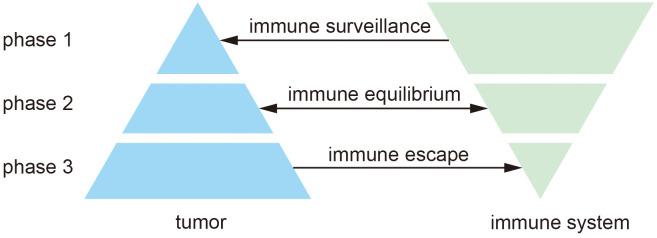 https://cdn.ncbi.nlm.nih.gov/pmc/blobs/25cb/11799554/c30834323607/fimmu-15-1498060-g001.jpg