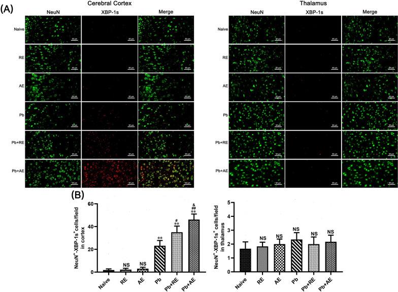 https://cdn.ncbi.nlm.nih.gov/pmc/blobs/25cb/12220399/135eab1ec282/13071_2025_6863_Fig12_HTML.jpg