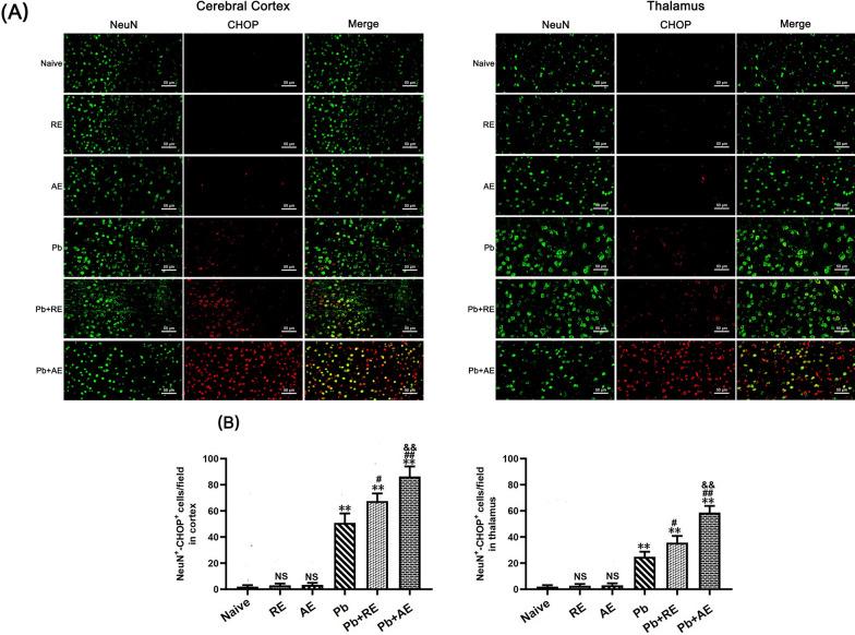 https://cdn.ncbi.nlm.nih.gov/pmc/blobs/25cb/12220399/28f567a87253/13071_2025_6863_Fig10_HTML.jpg