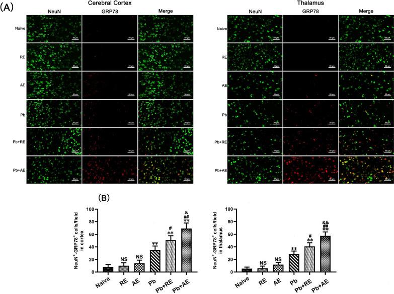 https://cdn.ncbi.nlm.nih.gov/pmc/blobs/25cb/12220399/41ee34770741/13071_2025_6863_Fig9_HTML.jpg