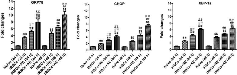 https://cdn.ncbi.nlm.nih.gov/pmc/blobs/25cb/12220399/54aedaa38a4e/13071_2025_6863_Fig13_HTML.jpg