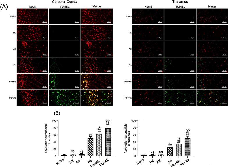 https://cdn.ncbi.nlm.nih.gov/pmc/blobs/25cb/12220399/77ac8b93f313/13071_2025_6863_Fig8_HTML.jpg