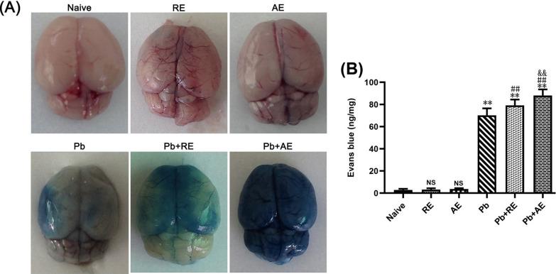 https://cdn.ncbi.nlm.nih.gov/pmc/blobs/25cb/12220399/9d325815dc9e/13071_2025_6863_Fig4_HTML.jpg