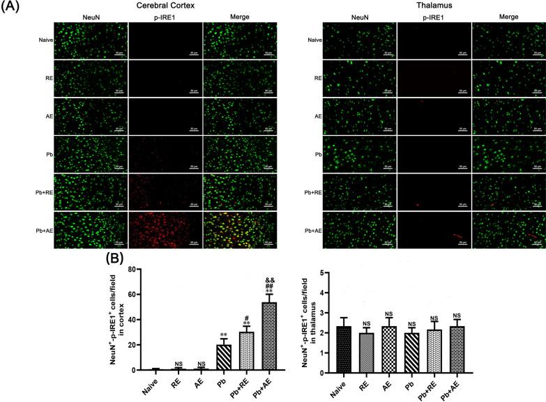 https://cdn.ncbi.nlm.nih.gov/pmc/blobs/25cb/12220399/9e5430ecc95b/13071_2025_6863_Fig11_HTML.jpg