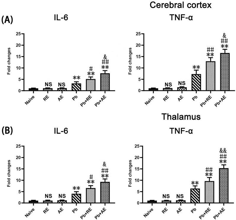 https://cdn.ncbi.nlm.nih.gov/pmc/blobs/25cb/12220399/cff3c875ded4/13071_2025_6863_Fig5_HTML.jpg