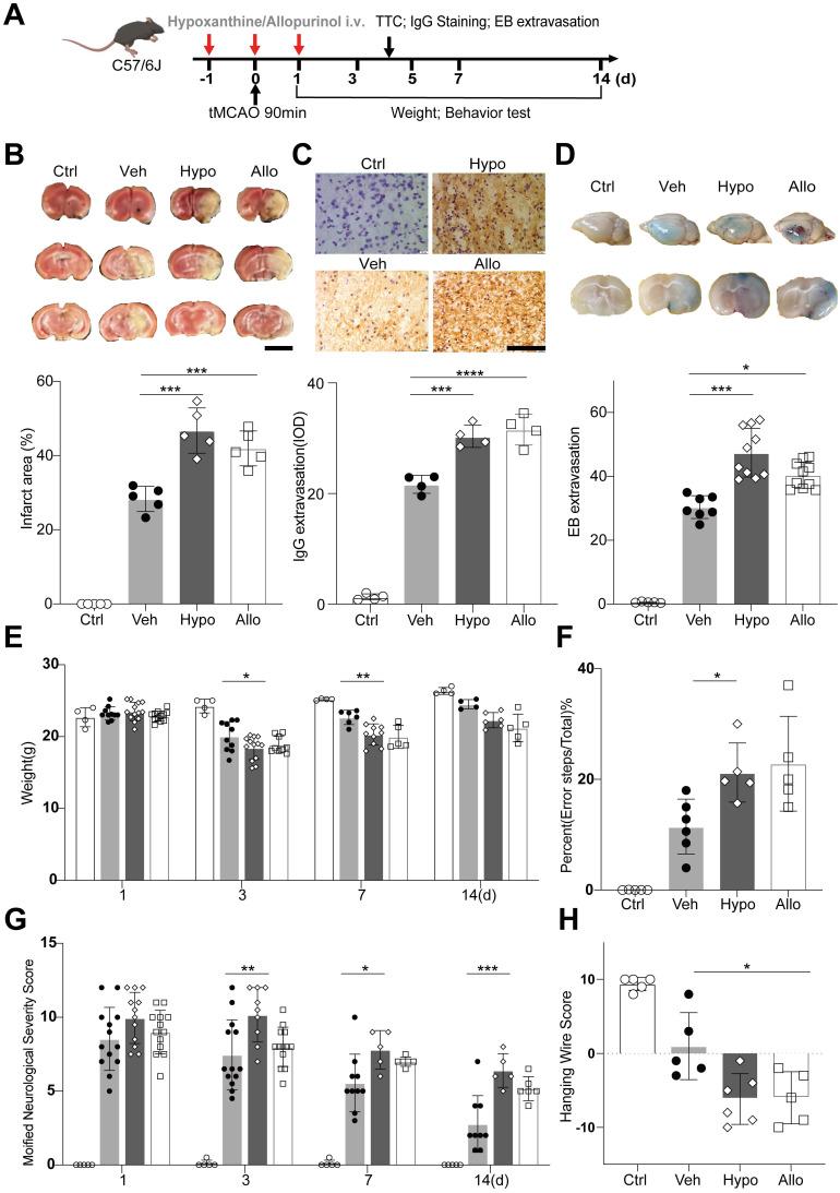 https://cdn.ncbi.nlm.nih.gov/pmc/blobs/25cc/11426240/5562974757d3/thnov14p6071g004.jpg