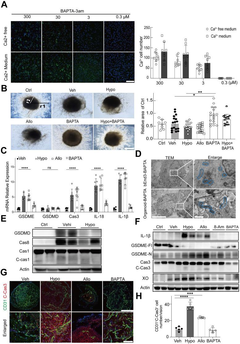 https://cdn.ncbi.nlm.nih.gov/pmc/blobs/25cc/11426240/8d98fff8335c/thnov14p6071g006.jpg