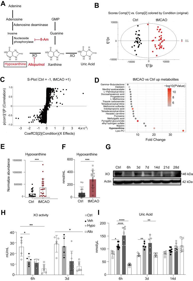 https://cdn.ncbi.nlm.nih.gov/pmc/blobs/25cc/11426240/8f40c49390ed/thnov14p6071g003.jpg