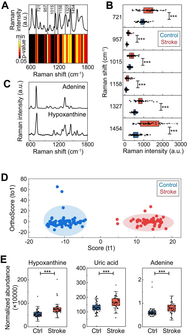 https://cdn.ncbi.nlm.nih.gov/pmc/blobs/25cc/11426240/ad788f8157a2/thnov14p6071g002.jpg