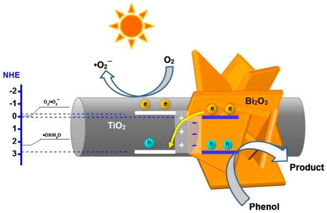 https://cdn.ncbi.nlm.nih.gov/pmc/blobs/25cc/8950424/4f38a55233aa/membranes-12-00345-g011.jpg