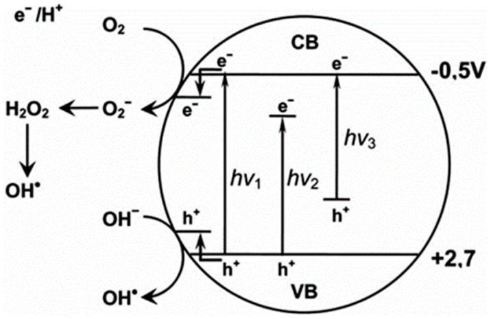 https://cdn.ncbi.nlm.nih.gov/pmc/blobs/25cc/8950424/f7c3c544eb1e/membranes-12-00345-g006.jpg