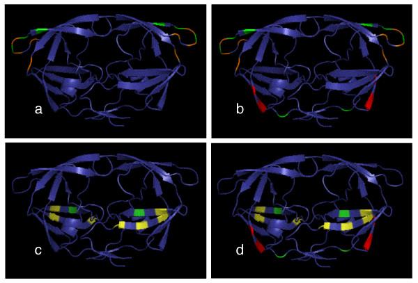 https://cdn.ncbi.nlm.nih.gov/pmc/blobs/25cd/2898770/1460e938d215/1745-6150-5-40-3.jpg