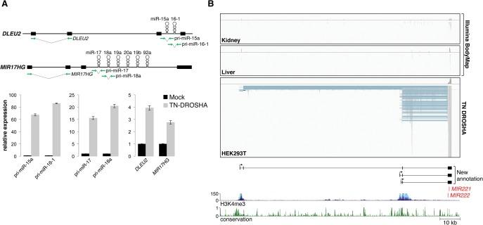 https://cdn.ncbi.nlm.nih.gov/pmc/blobs/25cd/4561498/461e7acccccc/1401f01.jpg