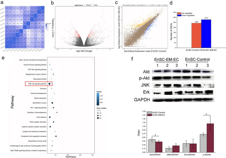 https://cdn.ncbi.nlm.nih.gov/pmc/blobs/25cd/7414689/a5305be0a162/13287_2020_1856_Fig6_HTML.jpg
