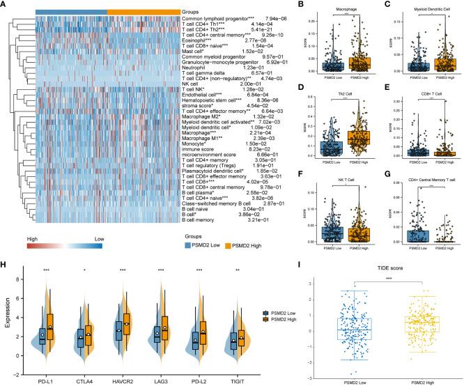 https://cdn.ncbi.nlm.nih.gov/pmc/blobs/25cd/9728585/05da5395cb0c/fonc-12-1058506-g007.jpg