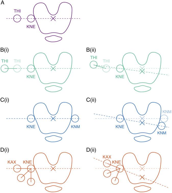 https://cdn.ncbi.nlm.nih.gov/pmc/blobs/25cf/12000083/daff5428e142/fbioe-13-1530365-g003.jpg