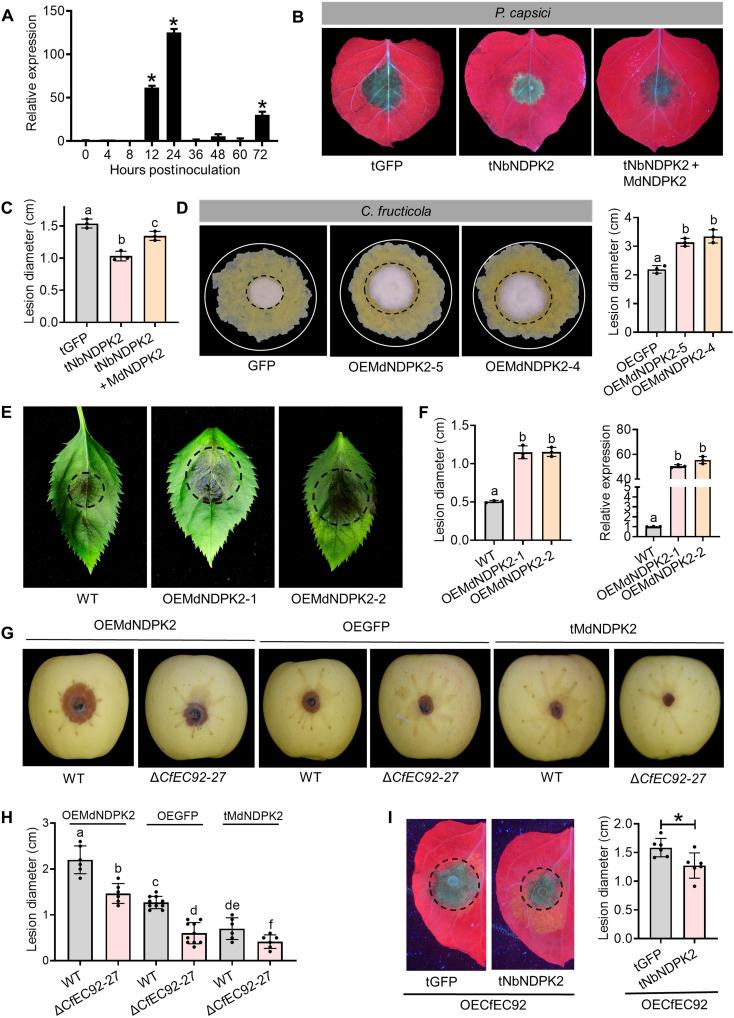 https://cdn.ncbi.nlm.nih.gov/pmc/blobs/25cf/12175893/062bd11cfd53/sciadv.adt7970-f2.jpg