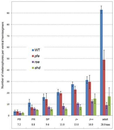 https://cdn.ncbi.nlm.nih.gov/pmc/blobs/25cf/3912879/69434f22aa81/DEV096719F7.jpg